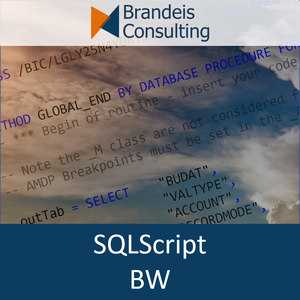 Cover SQLScript BW 300