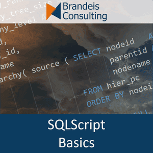 Cover SQLScript Grundlagen 300