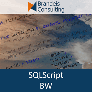 E-Learning SQLScript für BW-Berater