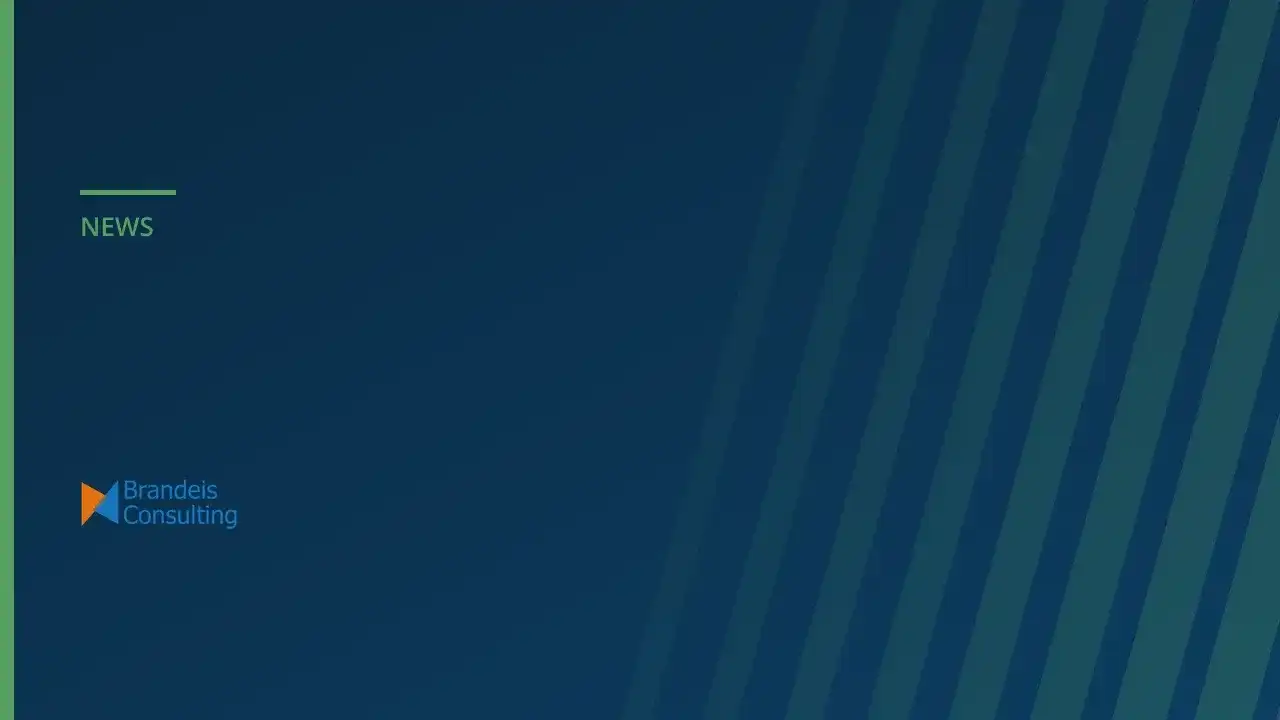 New Website for Brandeis Consulting