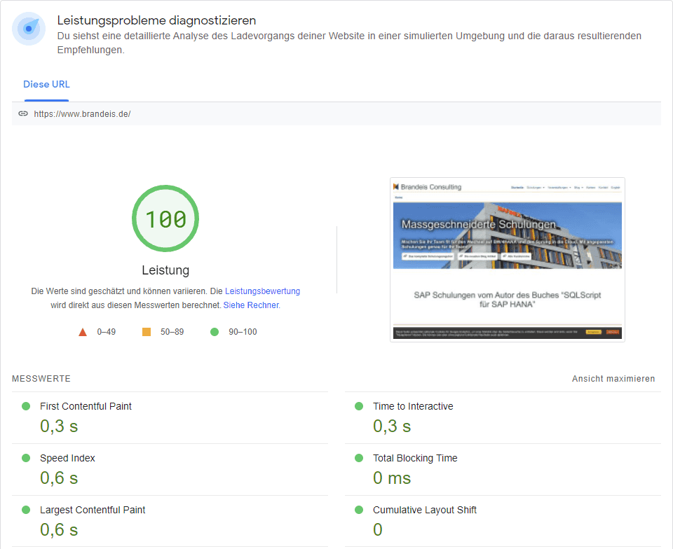 PageSpeed Insights Ergebnisse: 100%